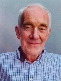 Profile image for Councillor David Nettleton